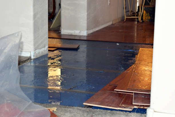 Professional Basement Flood Cleanup technician working in Trinity, AL